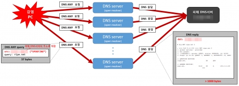 안랩이 조사발표한 DNS 증폭 디도스 공격 개념도 (사진제공: 안랩)