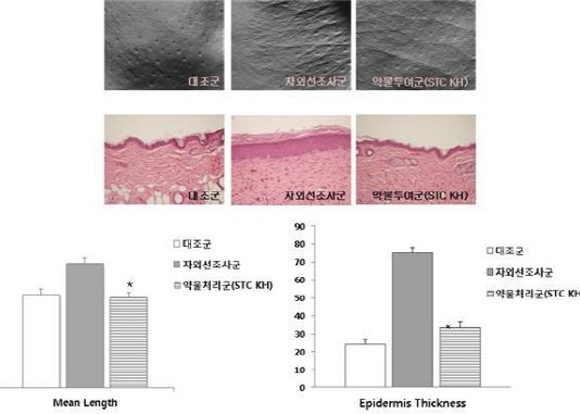 콩과 식물서 노화 억제 천연물질 개발