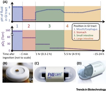먹는 스마트 알약 배터리, 몸속 미네랄 이온 이용한다