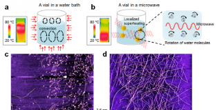 국내 연구진, 치매 원인 단백질 섬유 형성과 분자구조 제어 성공