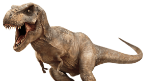 수학 모델로 공룡 ‘티라노사우루스’ 생존전략 증거 제시
