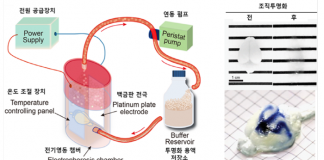 뇌발달 지도 구축을 위한 투명 3차원 진단기술 개발