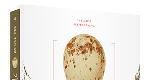 가장 완벽하게 진화한 알(卵) 이야기