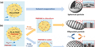 온도따라 모양 변하는 ‘스마트 입자’ 개발