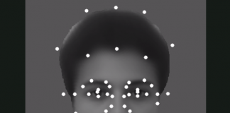 영장류 뇌의 얼굴인식 처리 규명