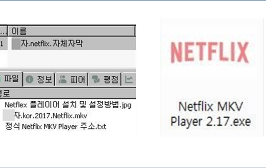 토렌트서 최신 영화 미끼 ‘넷플릭스’ 위장 악성코드 주의