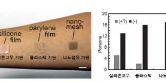 산소·땀 등 투과하는 전자피부 개발 성공