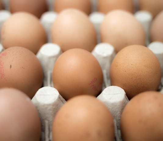 살충제 계란 논란, 식약처 일문일답