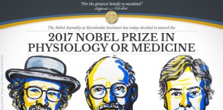 노벨생리의학상, 생체리듬 메커니즘 밝힌 미 과학자 3명에게