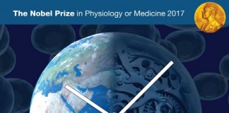 2017 노벨 생리의학상 수상자들과 생체시계 매커니즘