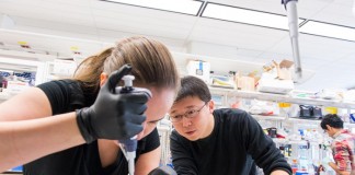 3.5세대 유전자 가위(CRISPR/Cpf1) 논문 분석 2