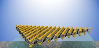 2차원 반도체 ‘공중부양’ 기술 개발