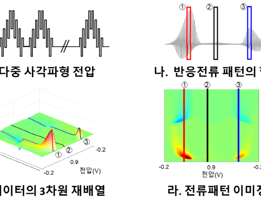 실시간 뇌 속 도파민 농도 측정기술 개발