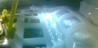 달에서 목화씨 싹 틔운 창어 4호