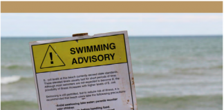 해변 바닷물 절반 이상 ‘똥’에 오염