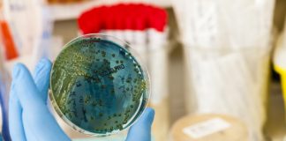 슈퍼 바이러스 잡고 내성없는 새로운 항생제 개발