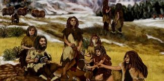 코로나19 중증, “네안데르탈인 DNA와 관련 있다”