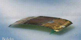 밟아도 죽지 않는 바퀴벌레 로봇