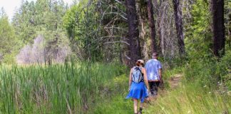 “나는 자연인이다”…건강과 행복 가장 큰 효과 나타나