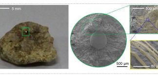 울퉁불퉁한 표면에도 접착 가능한 전자소자 개발