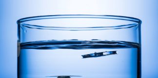 ‘물에 뜨는 금속’ 개발…“불개미와 물거미서 영감 받아”