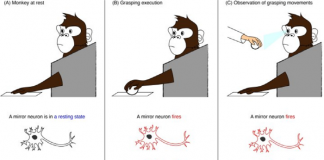 전태일로 본 기업가 정신과 비즈니스 모델 1