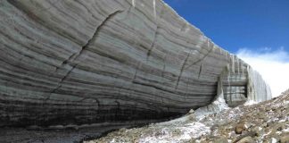 중국 티베트 고원서 ‘15,000년 된 바이러스’ 30여종 발견