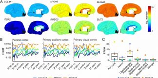 소리를 색으로 보는 공감각은?…”이름을 색으로 보는 사이트 공개”