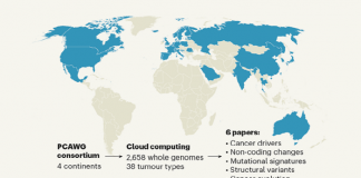 사상 최대 암 유전체 분석…”유전자 변이 수십년 전부터 생겨”