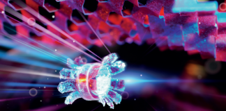 빛으로 제어하는 소프트 로봇 개발