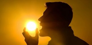 “비타민D 결핍 코로나19 사망률 높아”