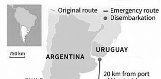 코로나 19 양성환자 최대 81%가 무증상