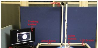 곤충 페로몬 통신 응용한 ‘군집로봇’ 시스템 개발