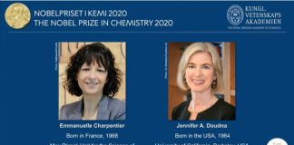 노벨화학상, 인류의 새로운 희망 ‘유전자 가위’ 개발한 두 여성 과학자에