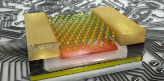 두뇌 2개를 합친 차세대 컴퓨터 칩 개발