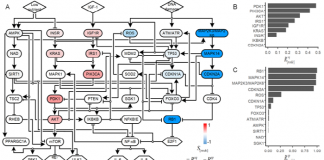 노화세포를 젊은세포로… “역 노화 원천기술 개발”