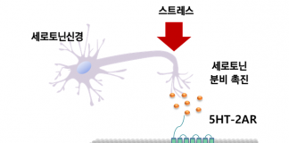 KAIST, 3대 운동질환 근긴장이상증 치료 약물 발견