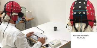 광유전학으로 시각장애인 시력 일부 회복