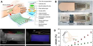 삼성, 말거나 늘리는 ‘스트레처블 기술’ 발표…”상용화 가능성 입증”