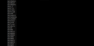 ‘RockYou2021’, 암호 84억개 유출…”전세계 온라인 인구 2배”