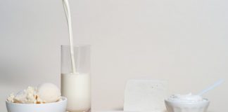 젖소 대체 유제품 제조 새싹기업 퍼펙트데이