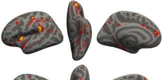 가벼운 코로나 감염도 뇌 기능 저하