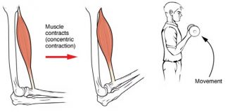 “50세 넘으면 근육은 예전처럼 커지지 않아”