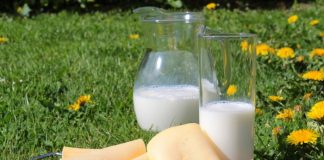 “유제품 섭취 많은 사람 암 위험 높다”…50만명 10년 추적 관찰